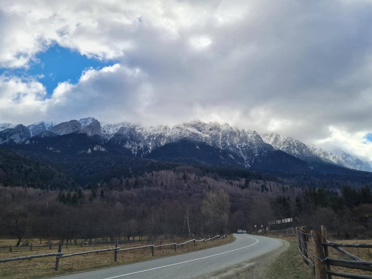 Pensiunea Kyfana Zărneşti Buitenkant foto