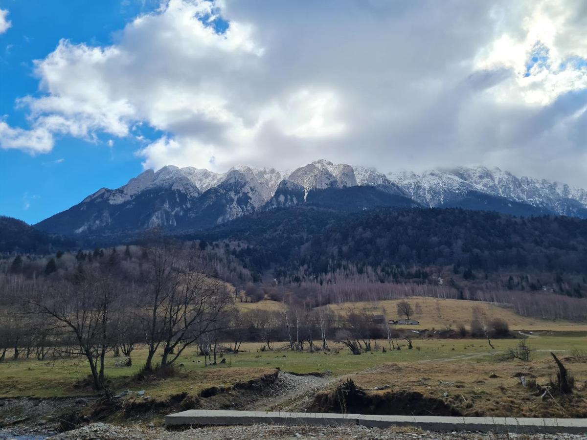 Pensiunea Kyfana Zărneşti Buitenkant foto