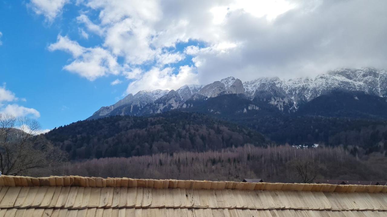 Pensiunea Kyfana Zărneşti Buitenkant foto