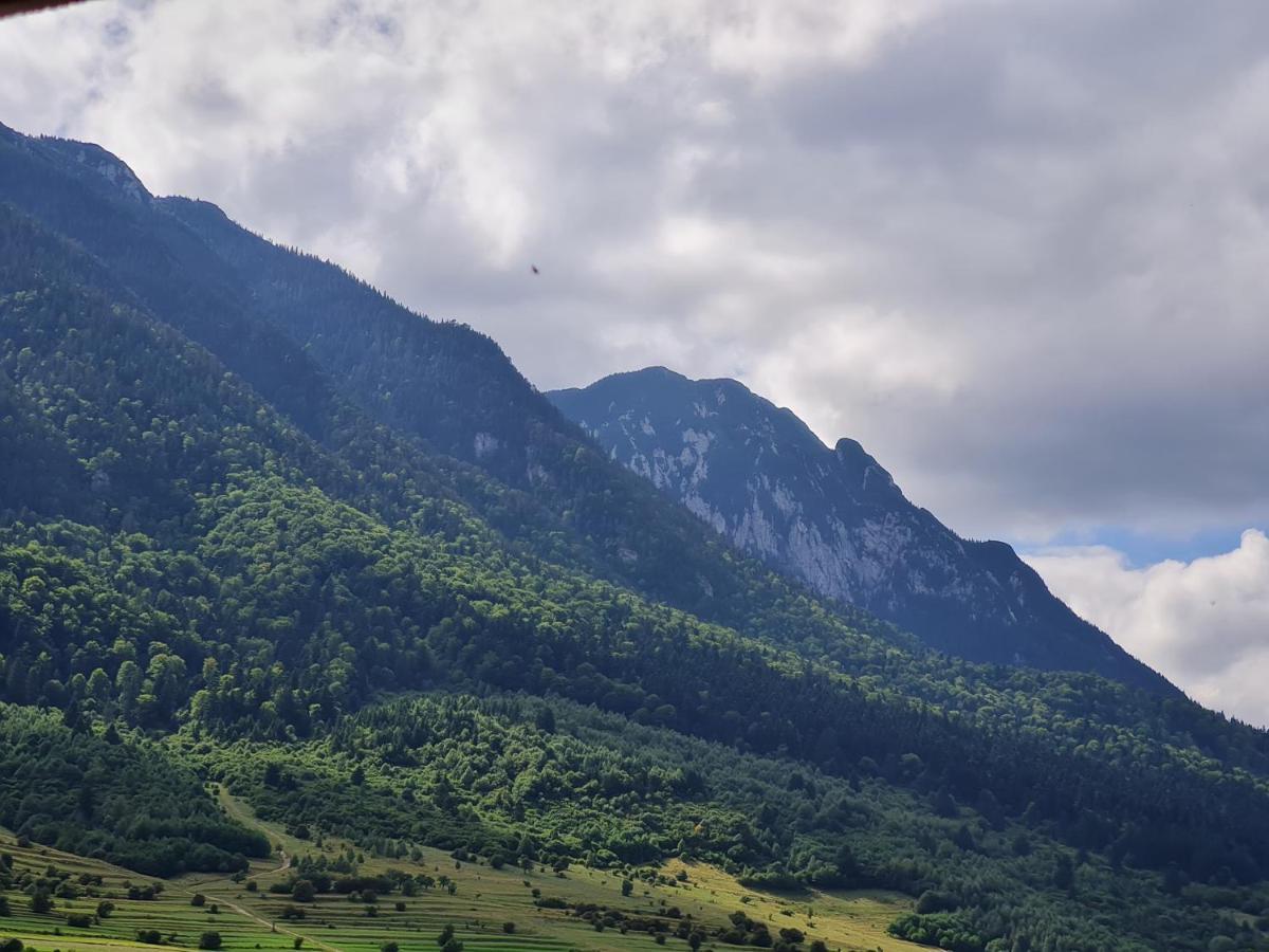 Pensiunea Kyfana Zărneşti Buitenkant foto