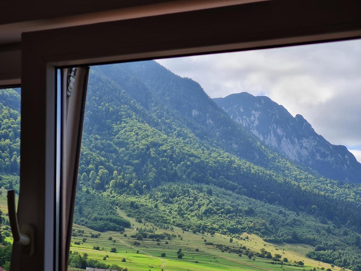 Pensiunea Kyfana Zărneşti Buitenkant foto