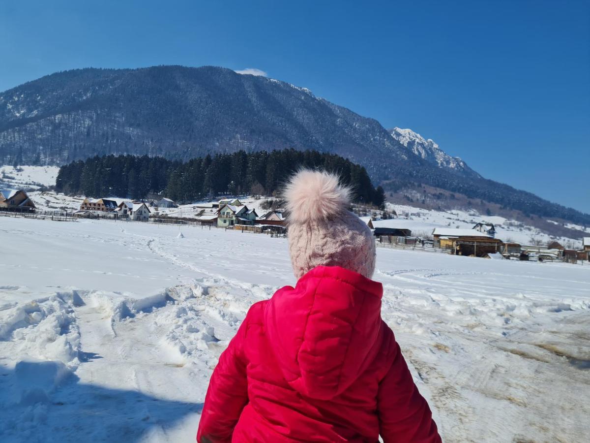 Pensiunea Kyfana Zărneşti Buitenkant foto