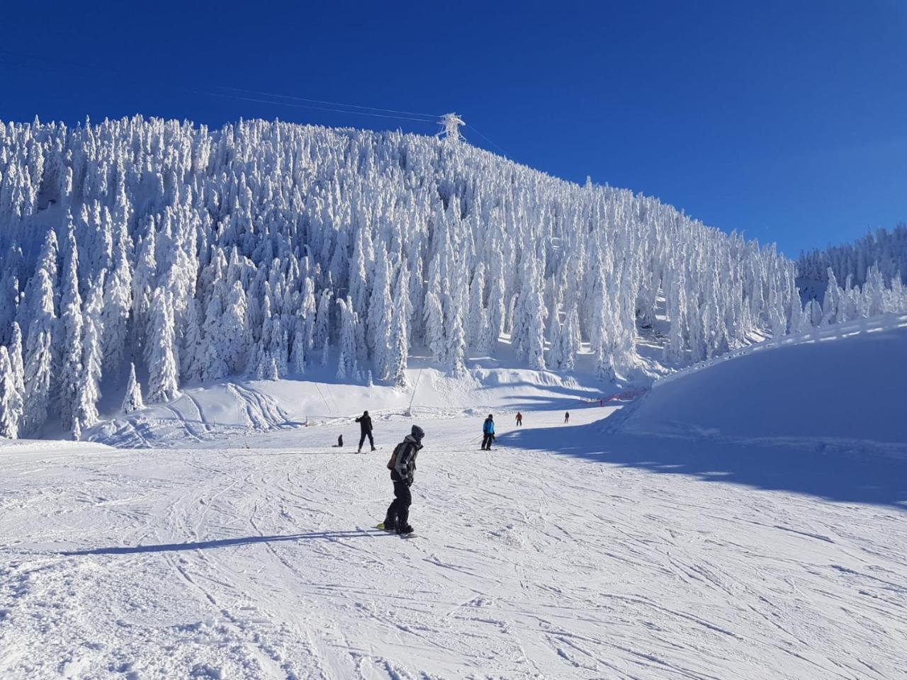 Pensiunea Kyfana Zărneşti Buitenkant foto
