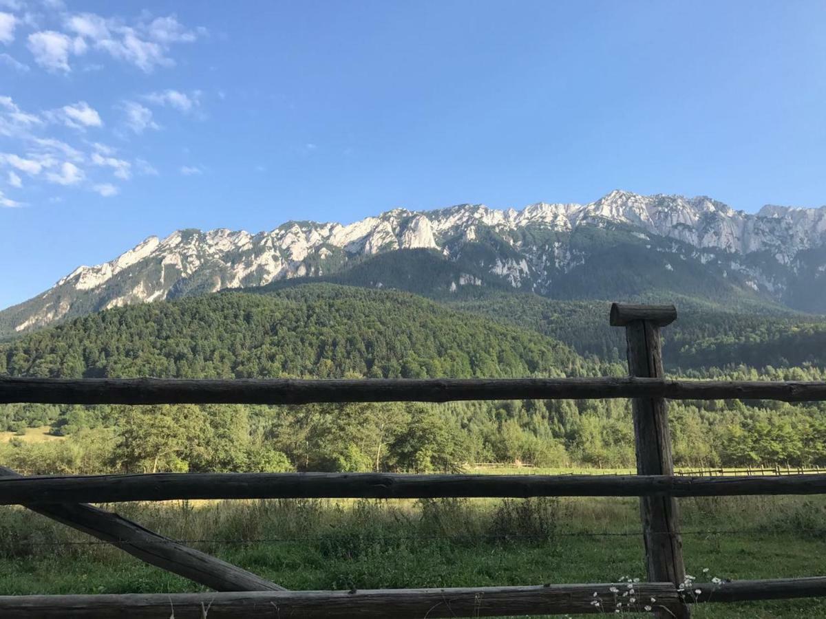 Pensiunea Kyfana Zărneşti Buitenkant foto